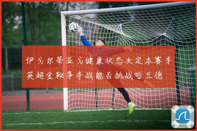 伊戈尔蒂亚戈健康状态决定本赛季英超金靴争夺战能否挑战哈兰德