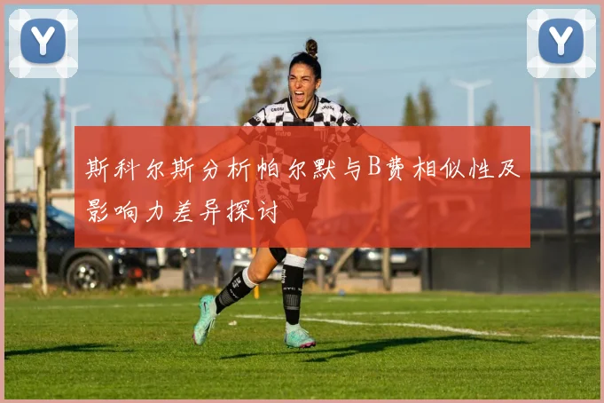 斯科尔斯分析帕尔默与B费相似性及影响力差异探讨
